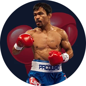 ipl t20-boxing